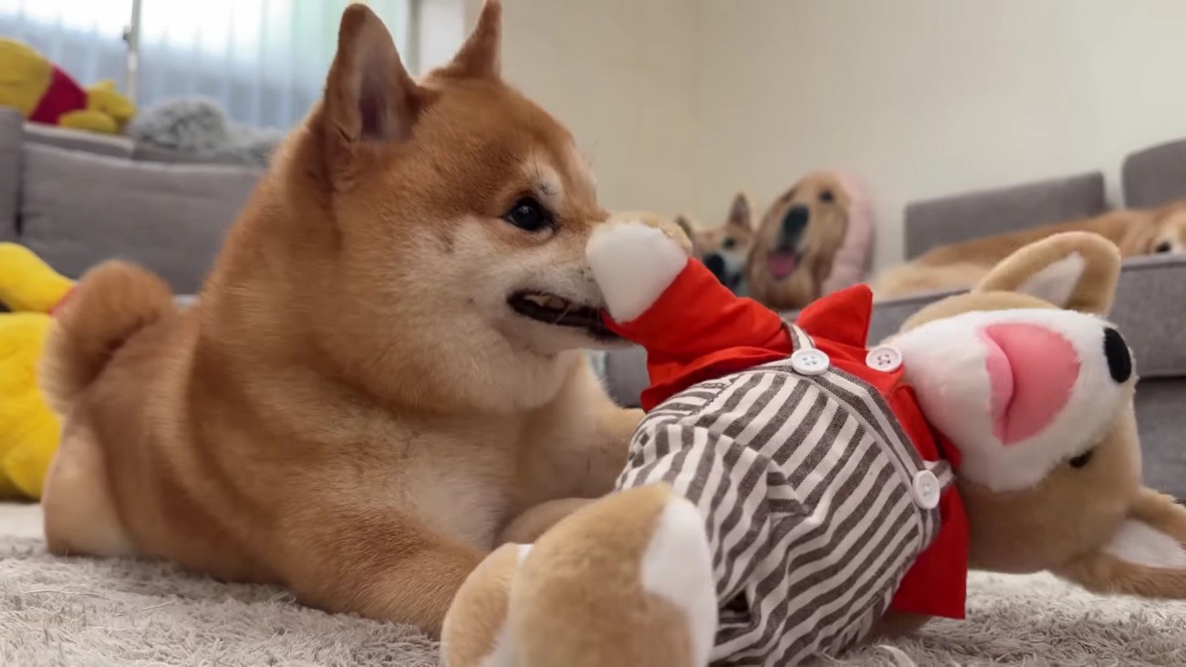 「まだダメ！」
