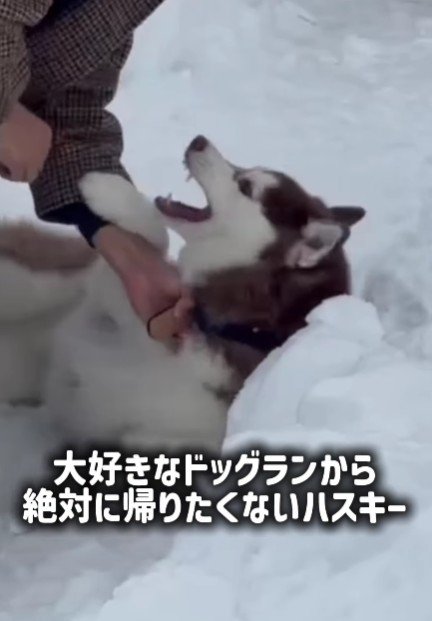 「いやだ～！！」