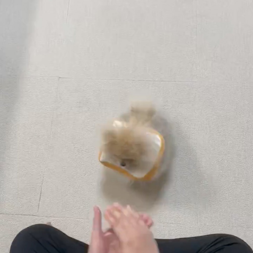おやつを入れた手を振る
