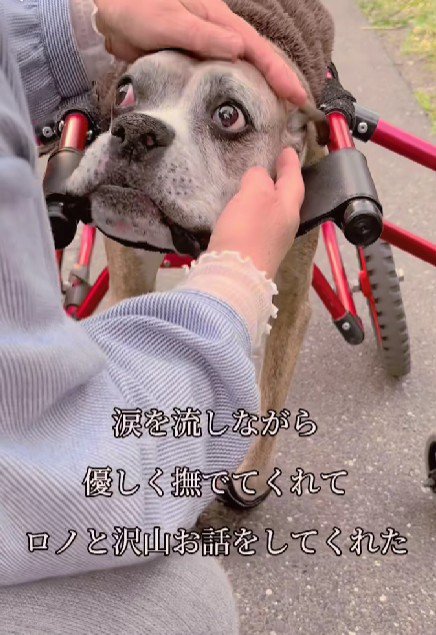 ロノちゃんの反応は…