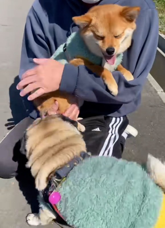 抱っこされる姫ちゃん