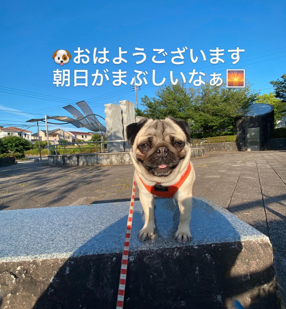 ひなちゃん