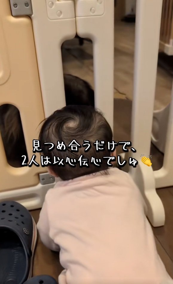 見つめあうふたり