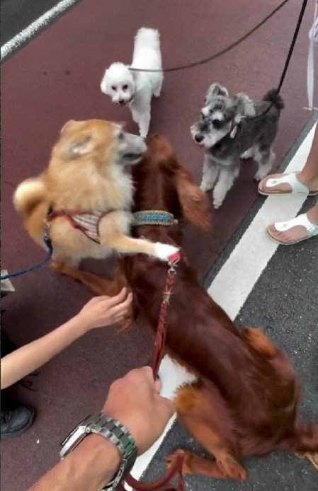 みんなに慕われるトワくん