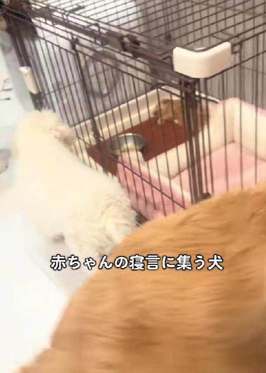 また寝ちゃった…