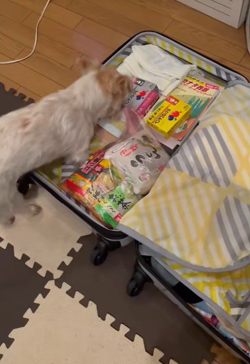 「いい感じのスペースがあるじゃん♪」