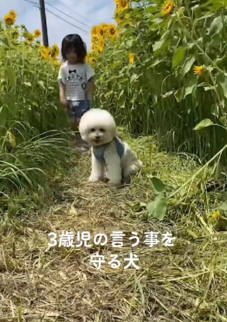 ちゃんと止まれるよ！