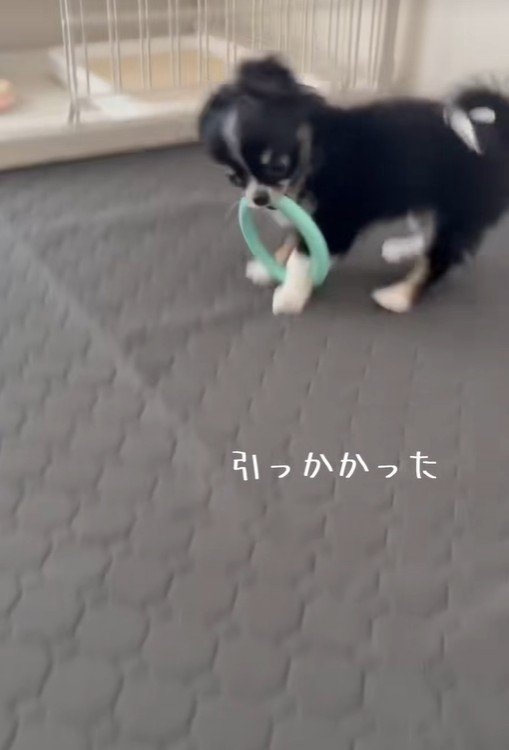 「もう～っ、なんで取れないんだよ！」