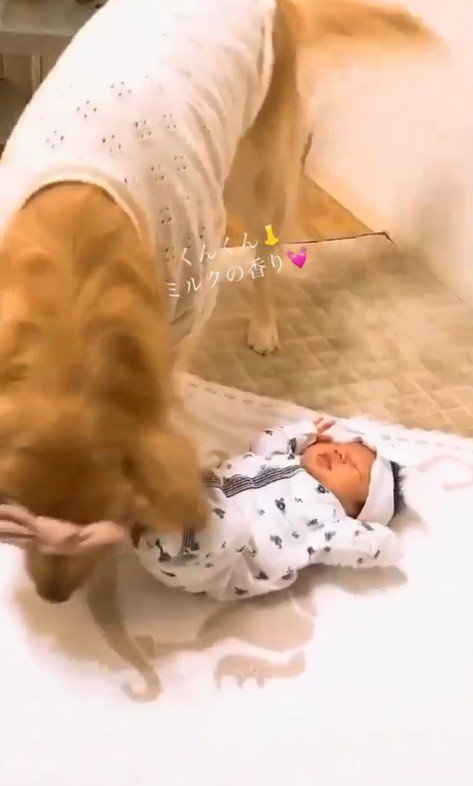 くららちゃんと赤ちゃん