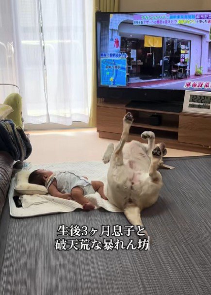 「私のことも構って～」