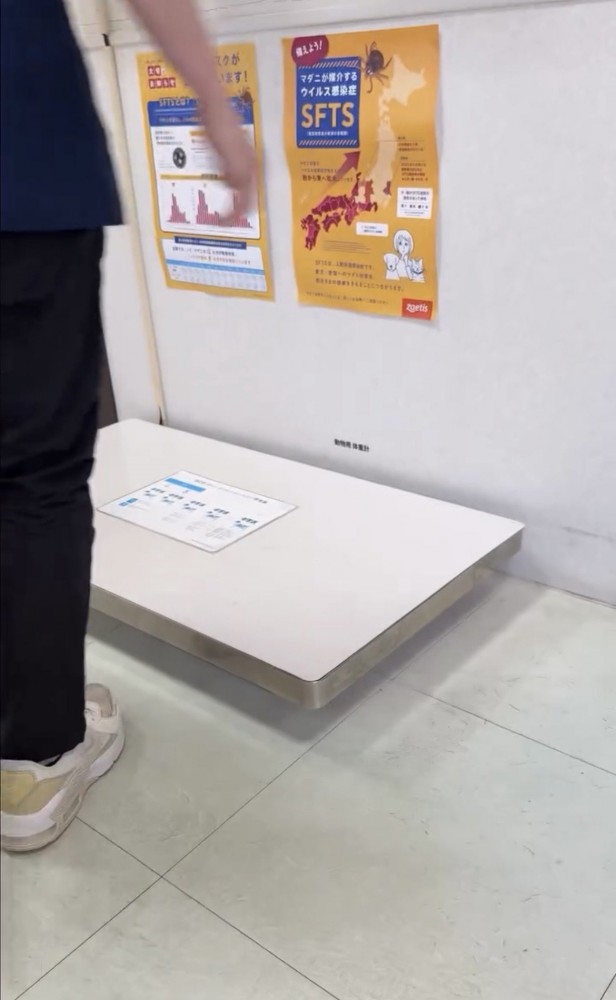 体重計の横に立つ人
