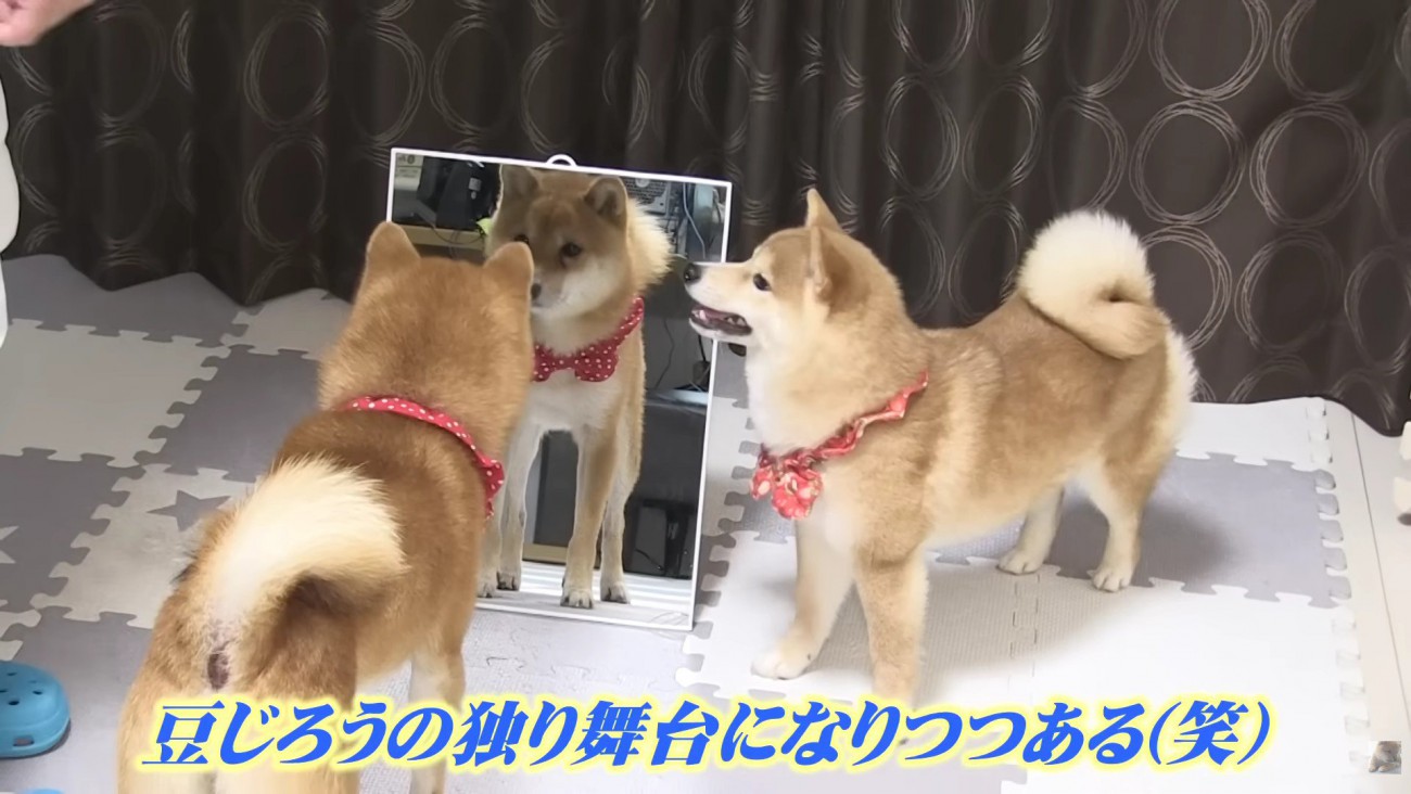 「今日もかっこいい…」