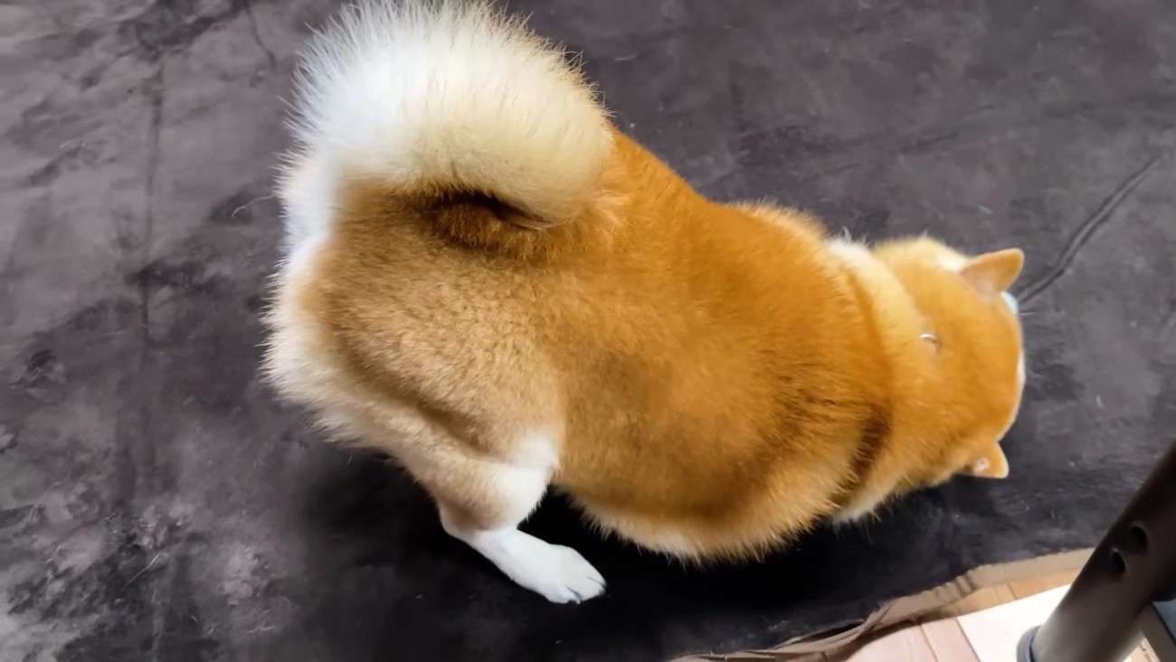 穴を掘るようにアガアガ