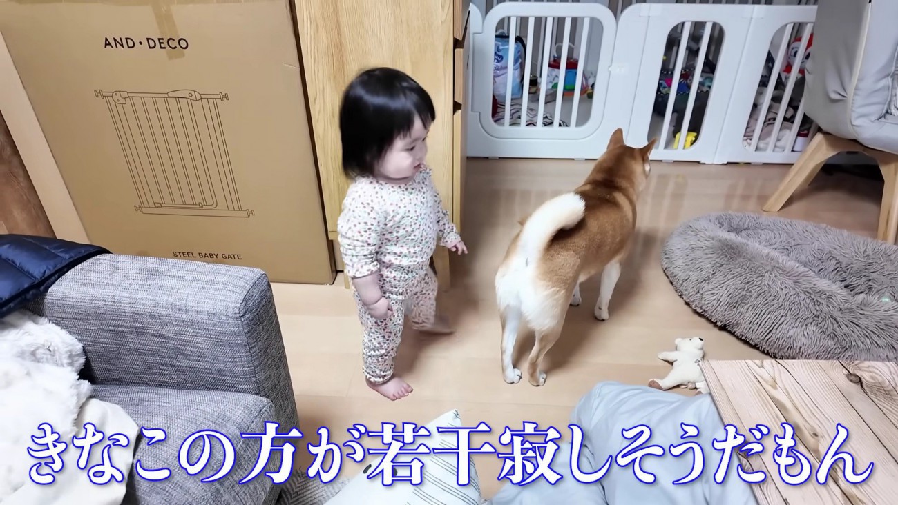 切ない背中のきなこちゃん