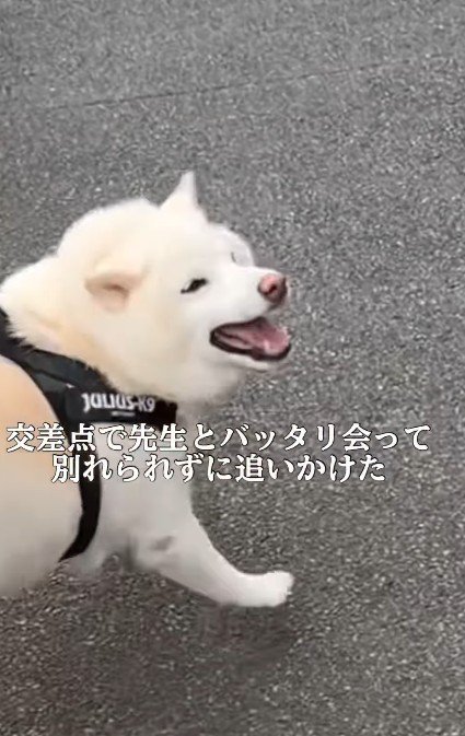 パッと笑顔に♡