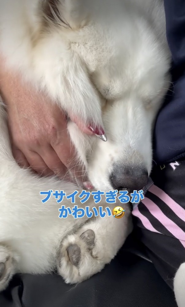 お顔がぎゅむっ