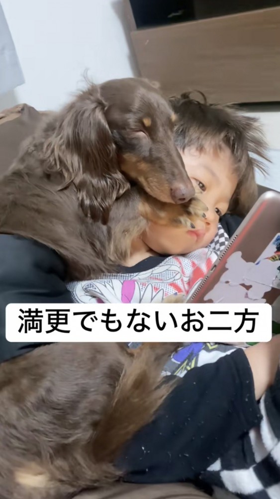 タブレットを見る男の子の上で眠るダックス