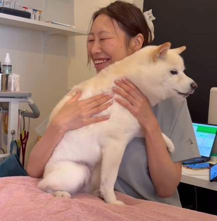感謝の気持ちをアピール