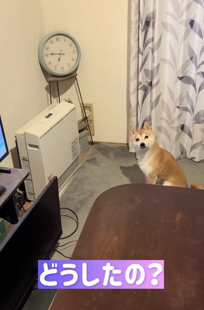 「言いたいことがあります」