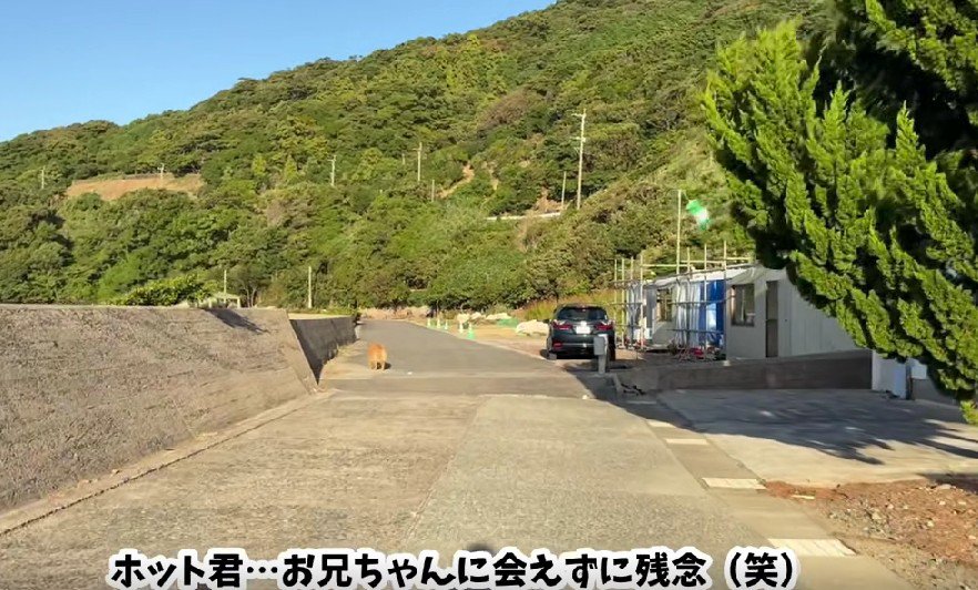 会えないときは寂しくなる