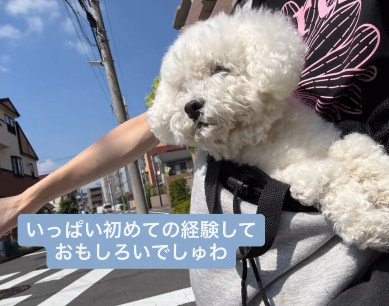 初めての経験がたくさん！