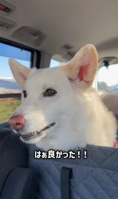 「じゃ、どこ行くの！？」