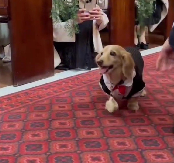 リングを届けて笑顔に♡