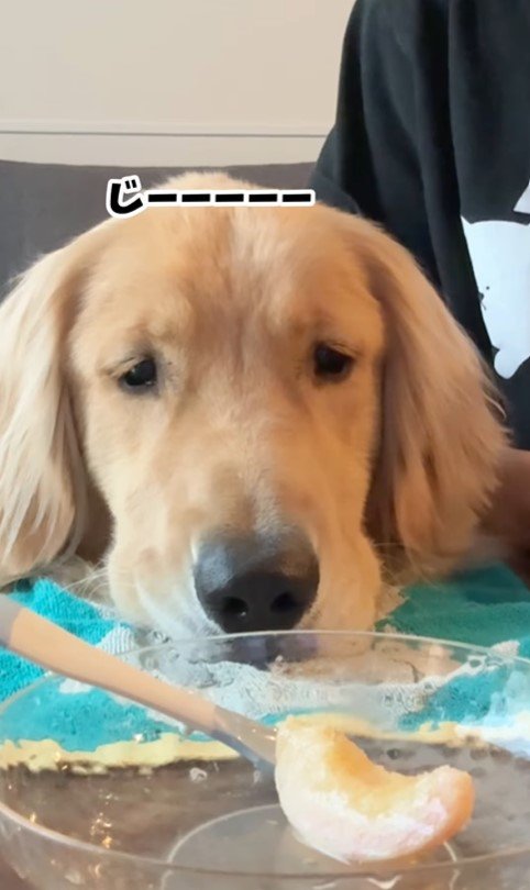 桃を食べるコロッケくん8