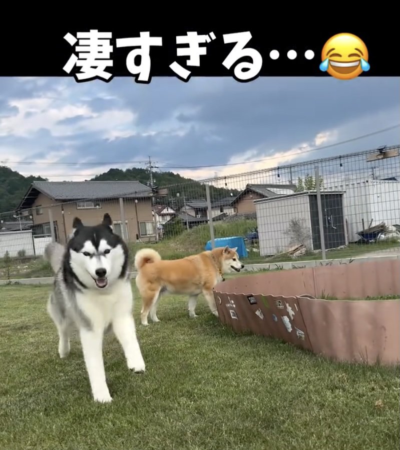 まだまだ若者には負けない大御所