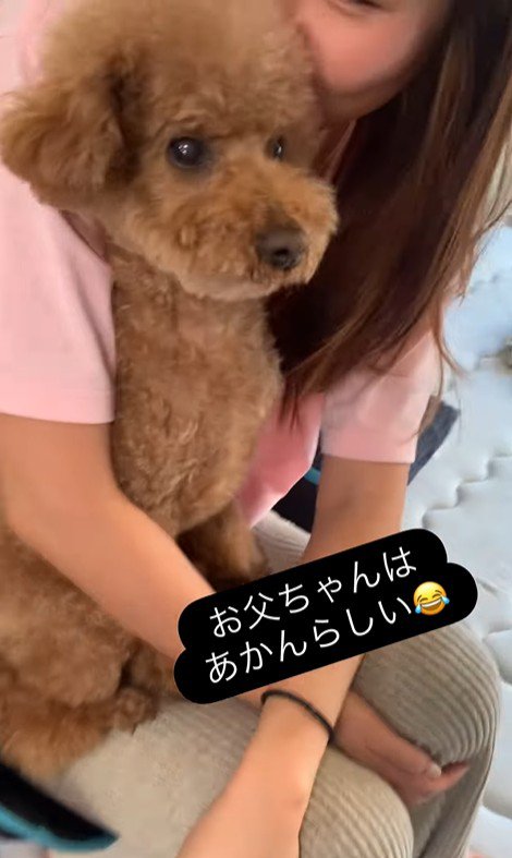 ドルくんの家族への態度の差4