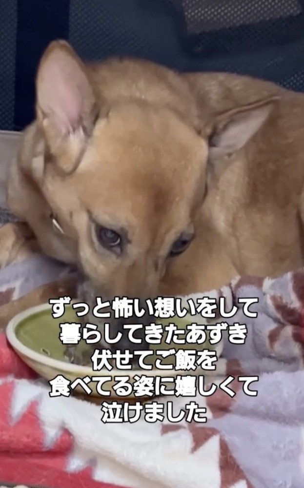 幸せまでもう少し