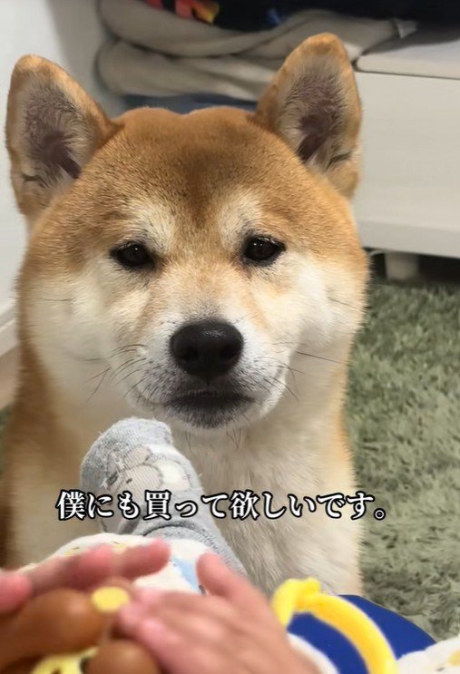 羨望の眼差し