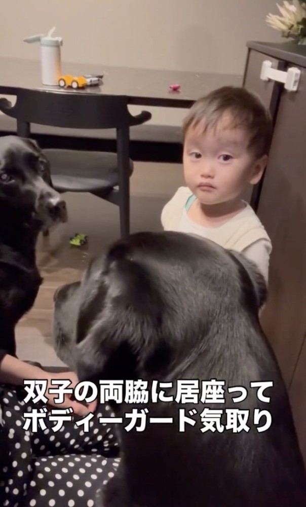 男の子への愛がいっぱい