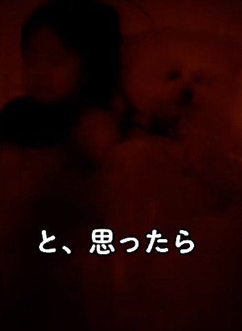 しばらくして戻ったら…