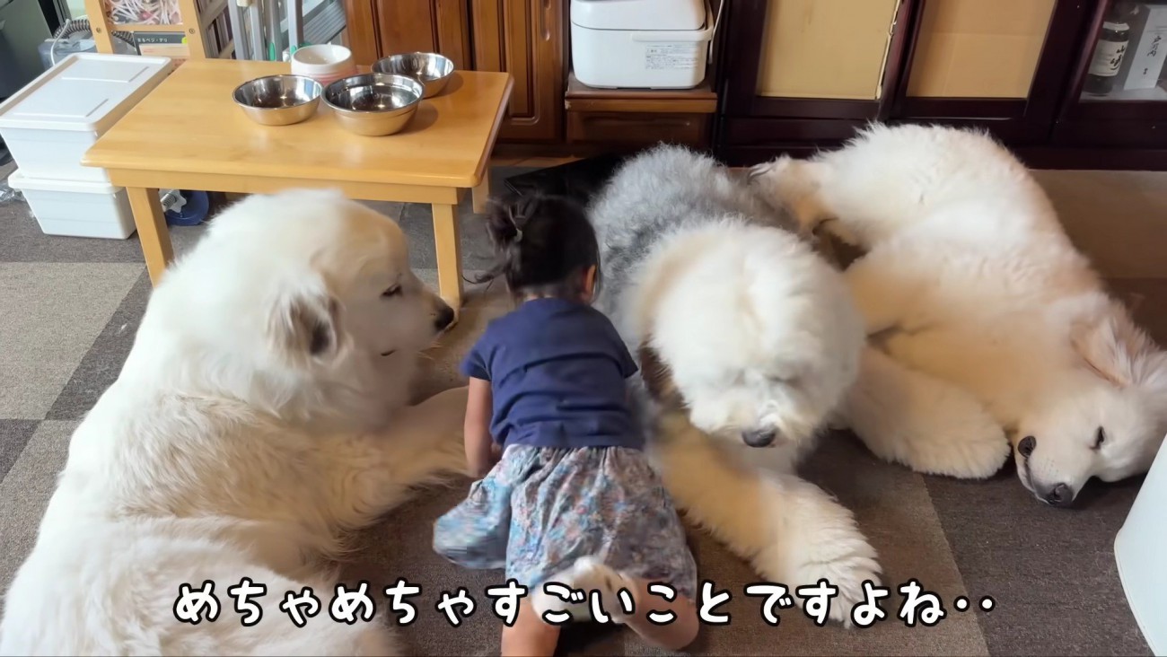 微笑ましい光景にホッコリ