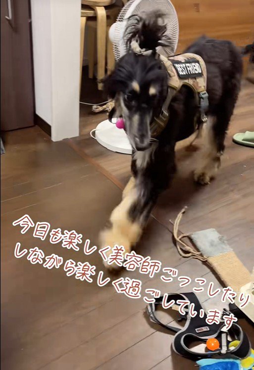 ひとつ結びが似合っています♡