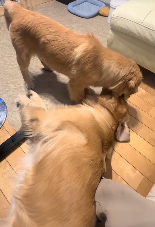 何をされても怒りません