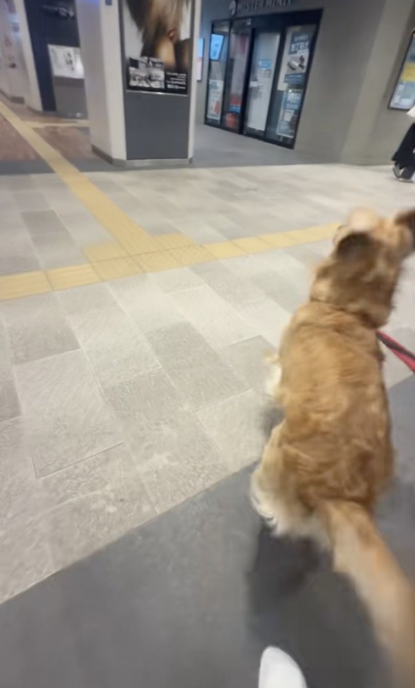 「見つけた！」