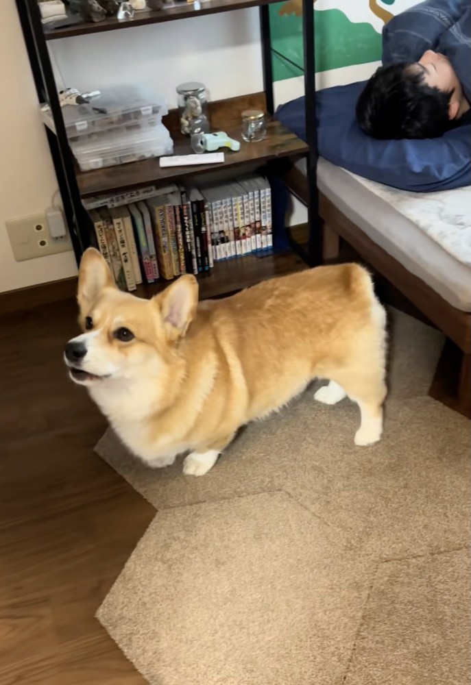 「起きてー！！」