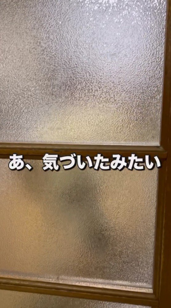 ドアに顔を近づける犬