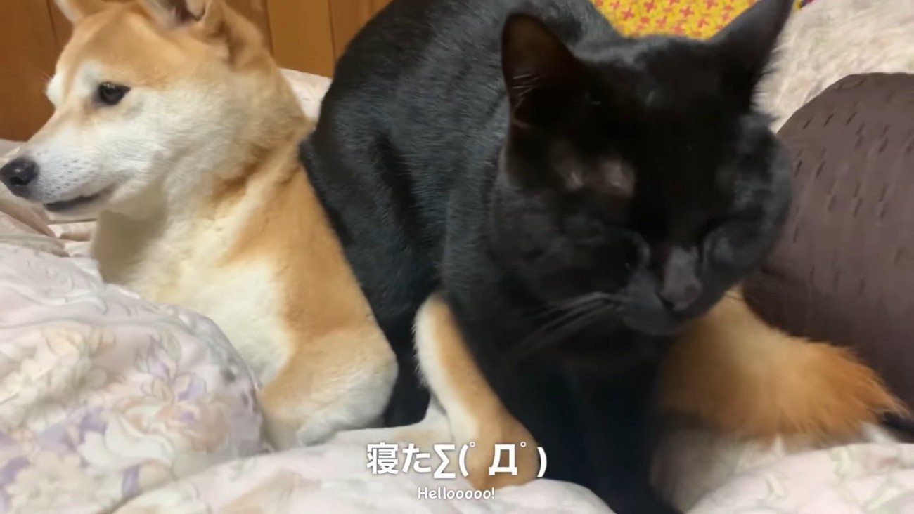 そのまま寝た！？