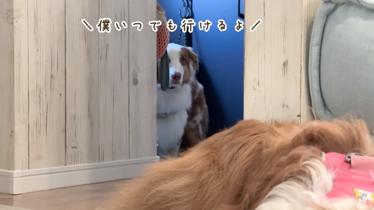 準備万端なガルちゃん