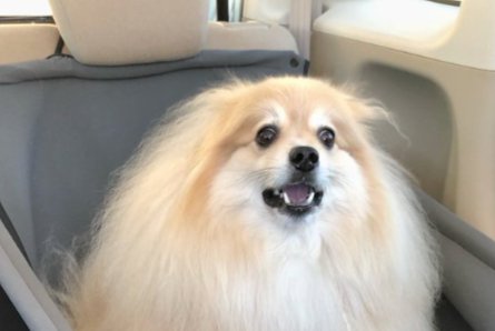 絶望