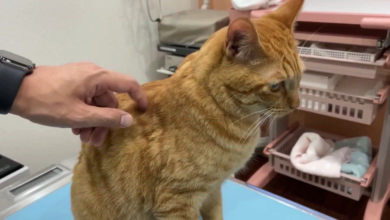 だいず君もお利口さんでした！