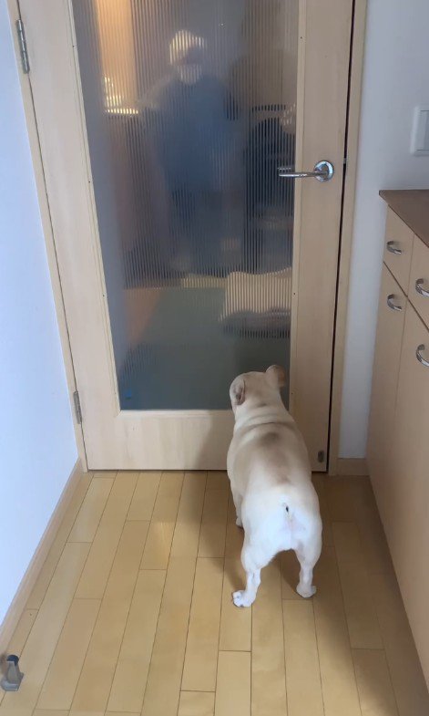 おばあちゃんを見つけたエルモくん