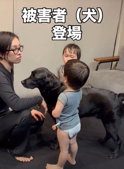 「もう許してあげて」