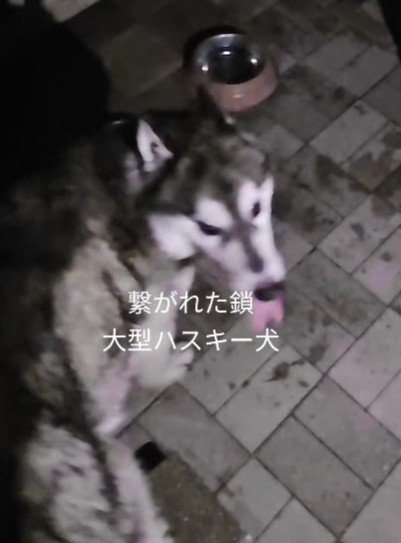 炎天下で放置された