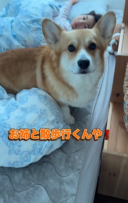 「今日は一緒にお散歩だよ！！」