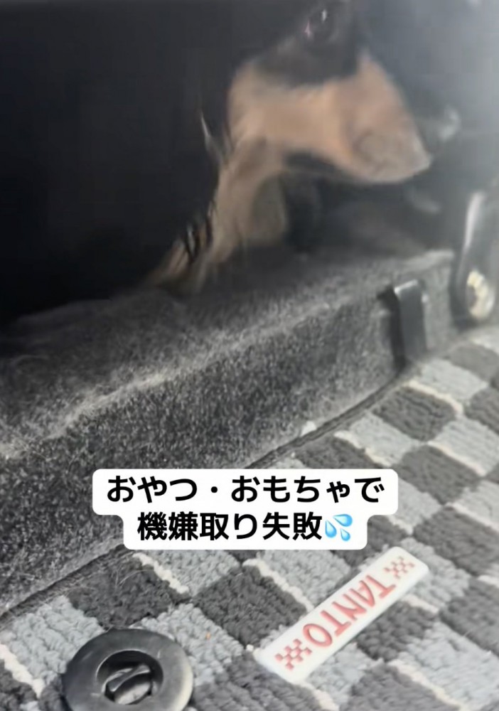プイッ！！