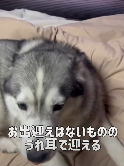 次女が帰ってきたとき